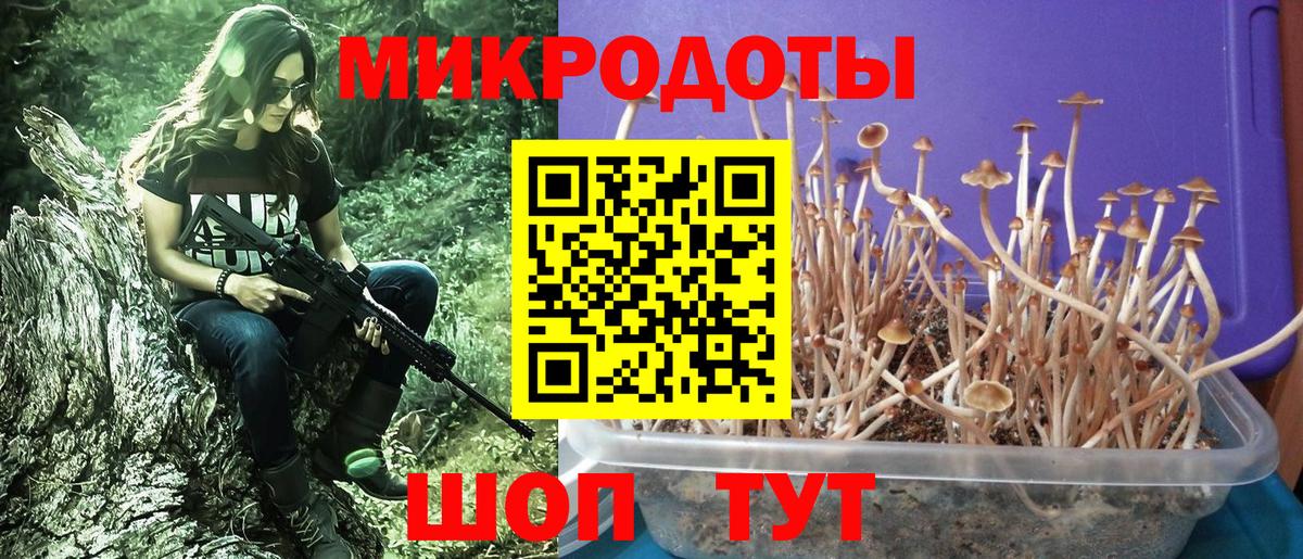 Галлюциногенные грибы MAGIC MUSHROOMS  наркотики  Кашира  Вход с VPN 